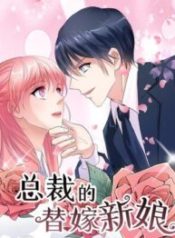 Being a Substitute for President’s Bride