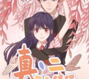 2D Partner