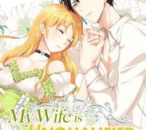 My Wife is Unqualified