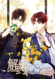 post_74270_image