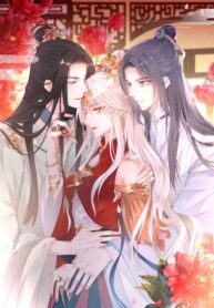 post_74490_image