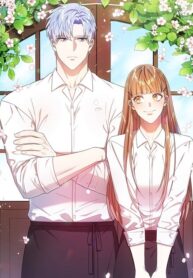 post_77553_image