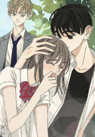 post_78142_image