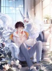my-dear-fluffy-fox.jpg