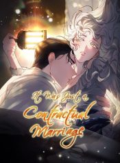 It Was Just a Contract Marriage