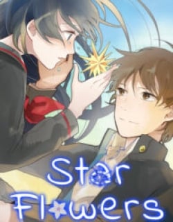 star-flowers.jpg
