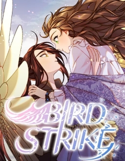 bird-strike.jpg