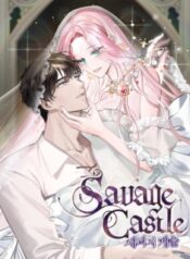savage-castle.jpg
