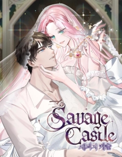 savage-castle.jpg