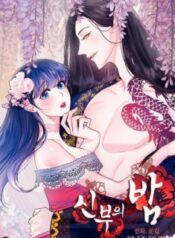 The Bridal Night