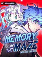 Memory in the Maze