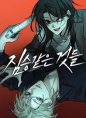 Read manhwa Beasts – ManhuaTop