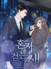 Read manhwa Solitary Bird – ManhuaTop