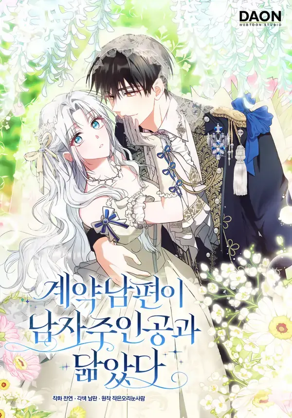 My Contract Husband Resembles the Male Protagonist Cover Image