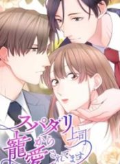 Read manhwa My Boss, the Ideal Man, Dotes on Me – ManhuaTop