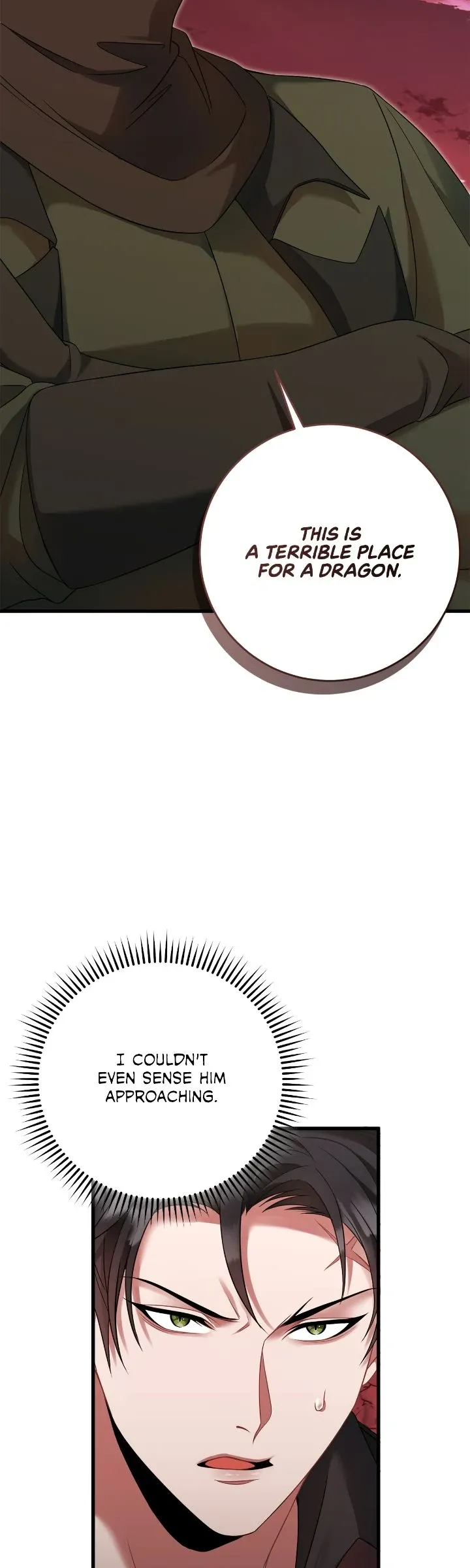 Image page 46