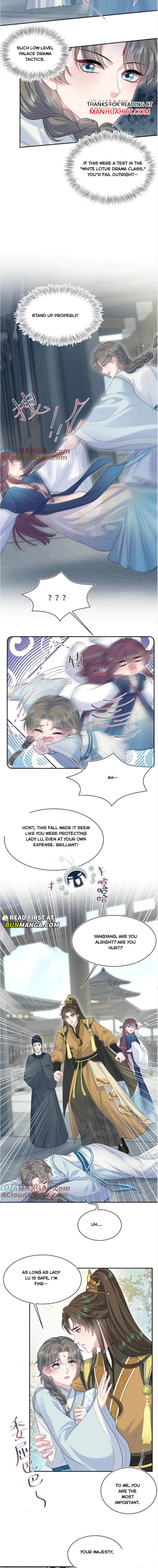 Image page 3