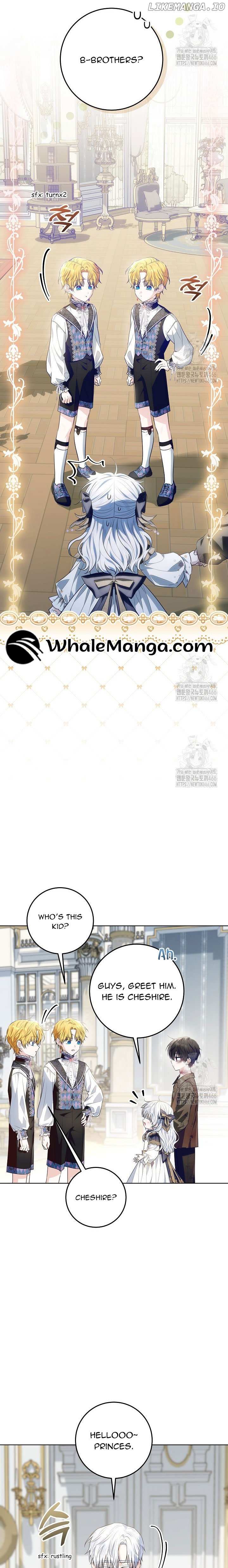 Image page 6