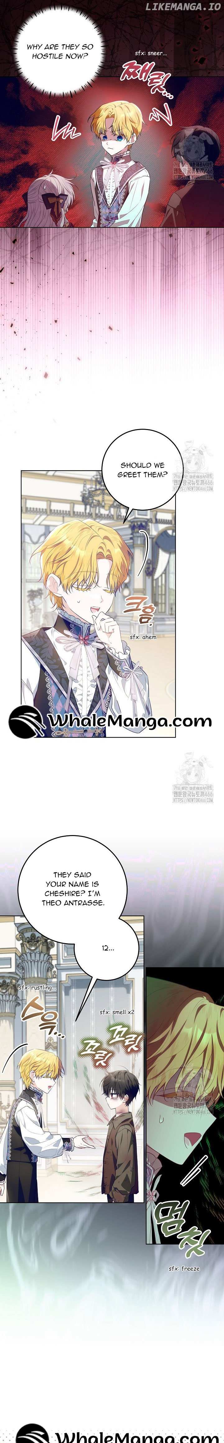 Image page 10