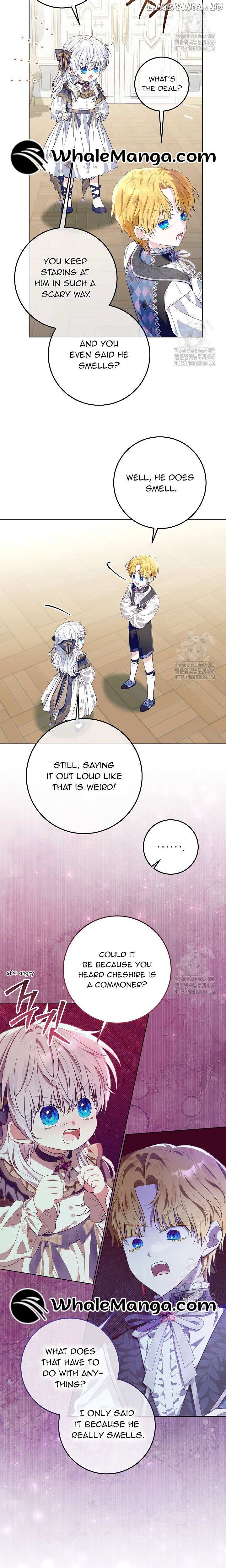 Image page 13